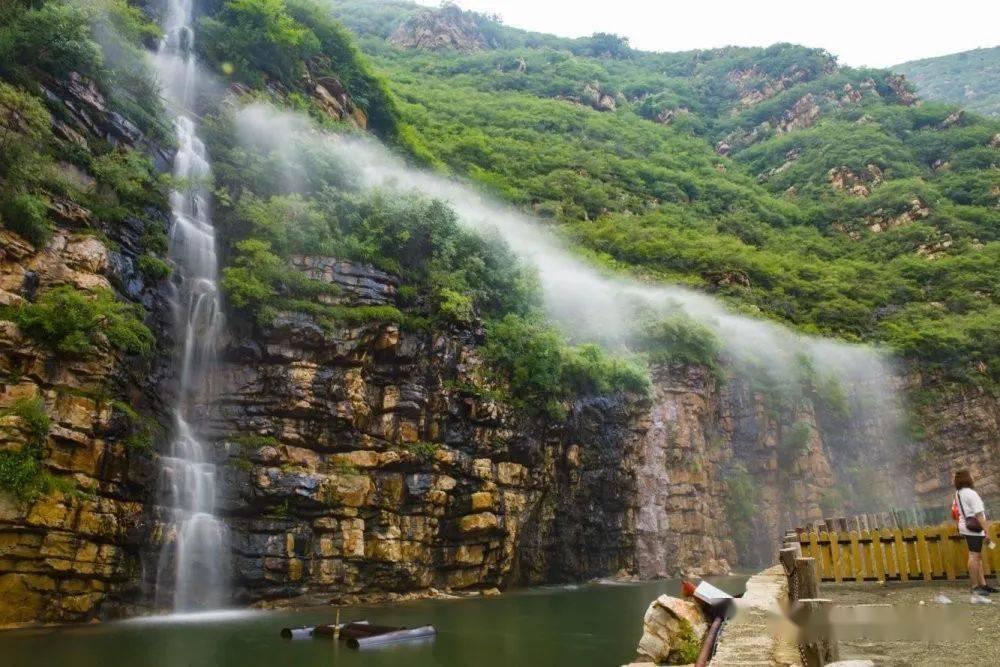 洪山菜苔游戏画面